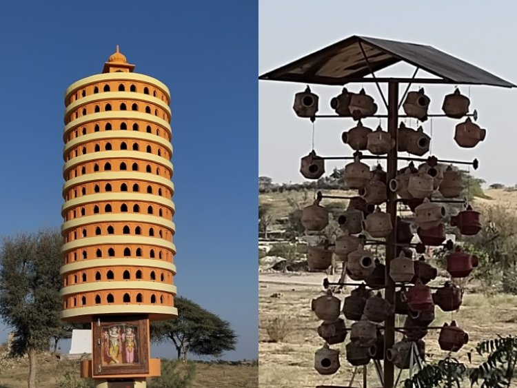 Good News : राजस्थान के बीकानेर में पक्षियों के लिए बना 11 मंजिल  का आशियाना, एक साथ रह सकते हैं 1100 पक्षी