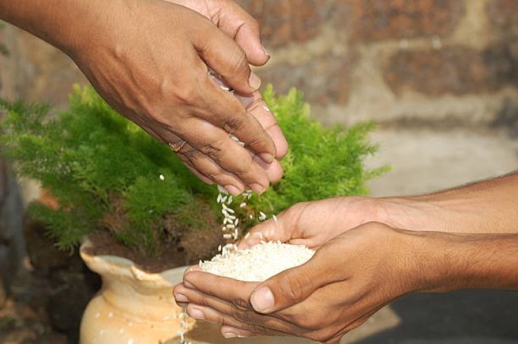 रिपोर्ट में किया गया दावा, झारखंड में लोगों के स्वास्थ्य के साथ खिलवाड़ कर रहा फोर्टिफाइड चावल