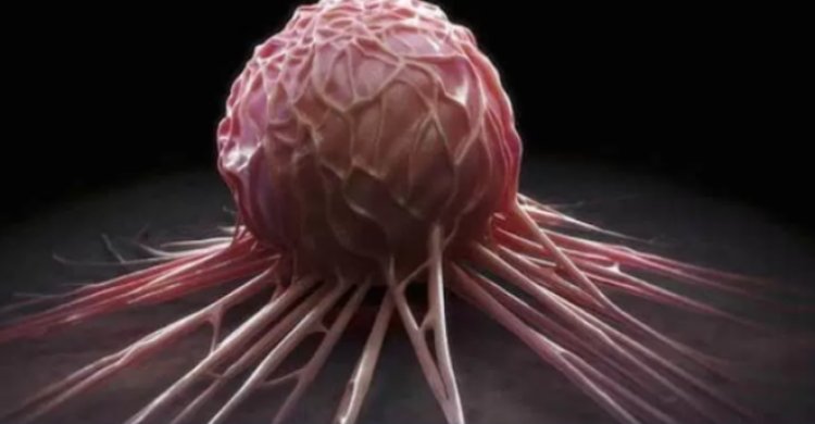 Cancer Treatment: कैंसर के इलाज में मिली बड़ी सफलता, अब सिर्फ एक दवा के सेवन से दूर होगा कैंसर
