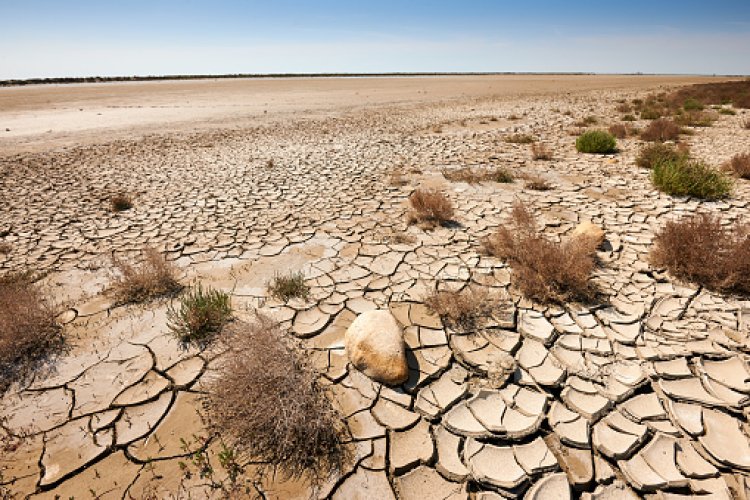 World Day to Combat Desertification and Drought: जानिए क्यों 17 जून को मनाया जाता है, मरुस्थलीकरण और सूखे का मुकाबला करने के लिए विश्व दिवस