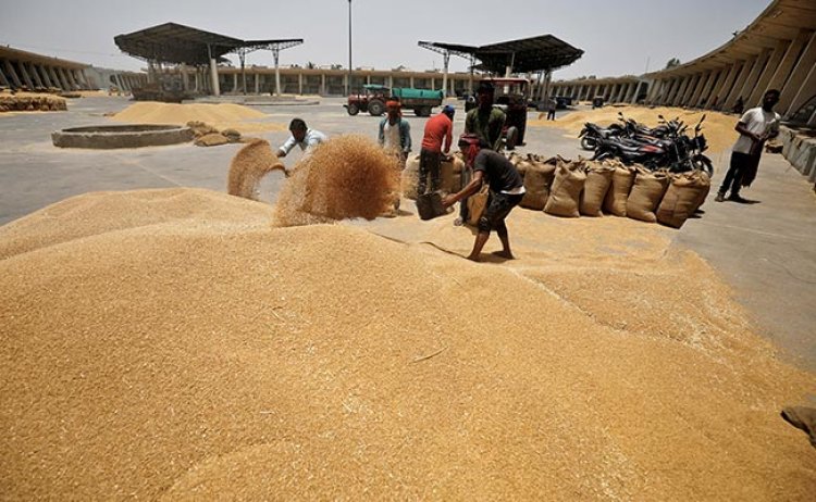 संयुक्त अरब अमीरात ने भारतीय गेहूं के निर्यात पर चार महीने की लगाई रोक, वैश्विक व्यापार प्रवाह में रुकावट को बताया कारण