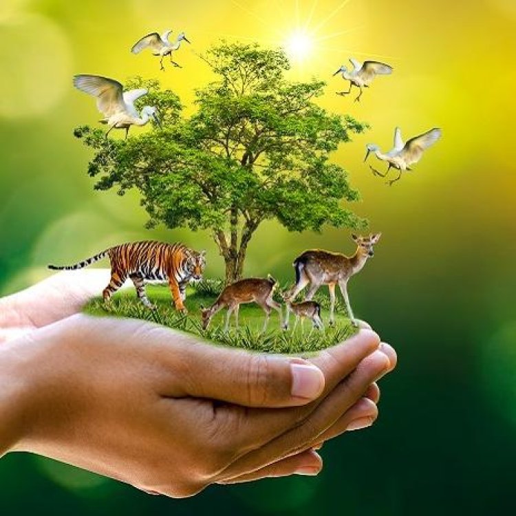 World nature conservation day : जानिए प्रकृति को बचाने के उद्वेश्य से मनाए जाने वाले विश्व प्रकृति संरक्षण दिवस का इतिहास