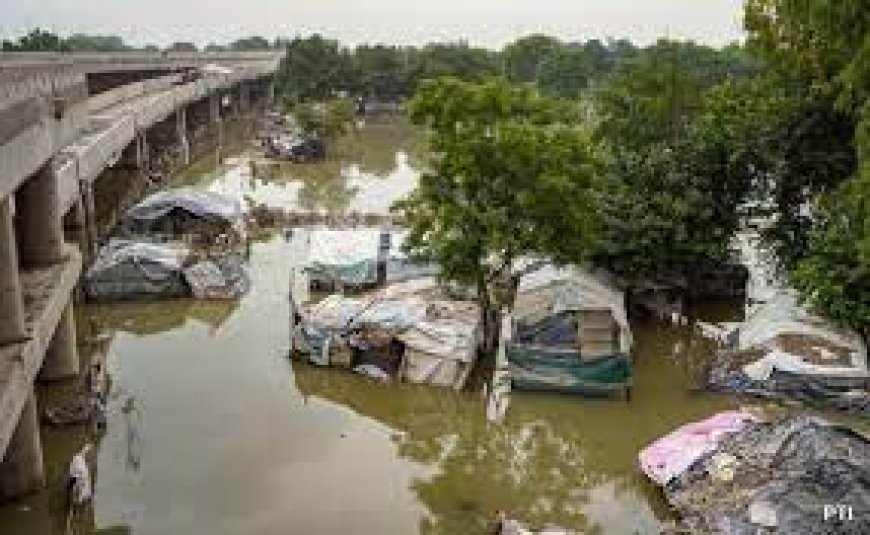 Delhi Floods: बाढ़ से बचे तो सांप का खतरा, वन विभाग की रैपिड रिस्पॉन्स टीम गठित, हेल्पलाइन नंबर किया जारी