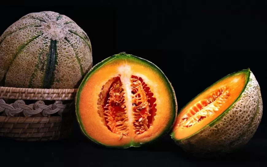 Muskmelon benefits: खरबूजे केअद्भुत स्वास्थ्य लाभ, त्वचा, पाचन और इम्यूनिटी के लिए है वरदान