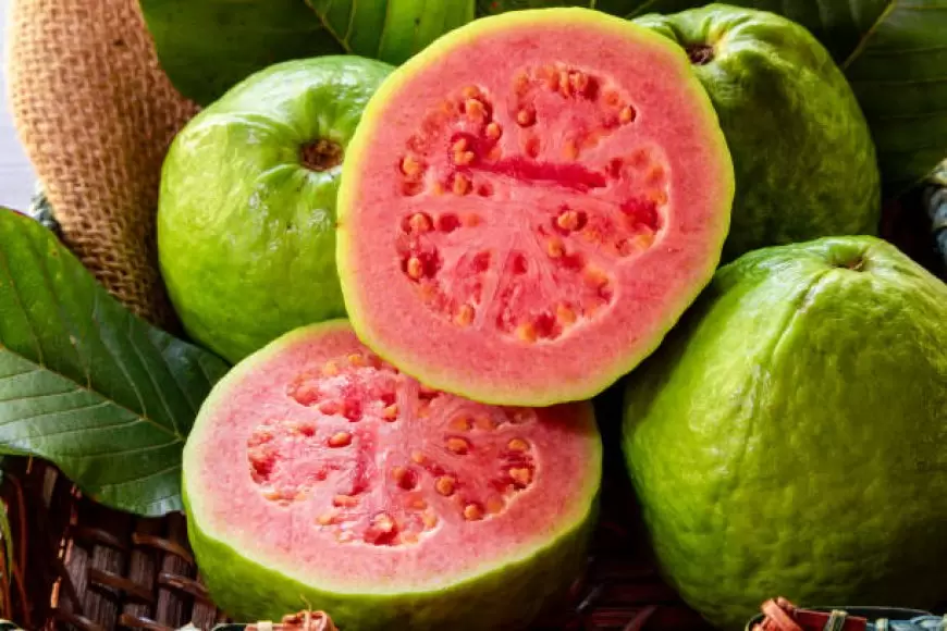 Benefits of Guava: अमरूद क्यों है सुपरफूड? जानिए अमरूद के पोषण तत्व और फायदे