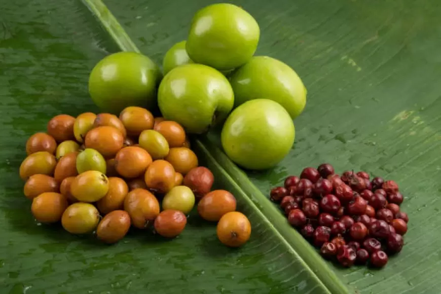 Health benefits of jujube: बेर के पोषण तत्व और उनके फायदे