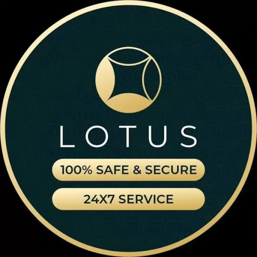 LotusBookBet: The Betting Site Indian Punters Are Talking About