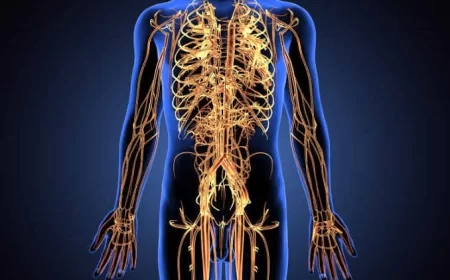 Ejaculation Process: पुरुषों में क्या होता है सेक्स प्रोसेस के दौरान और क्या है ईजैक्यूलैशन ?