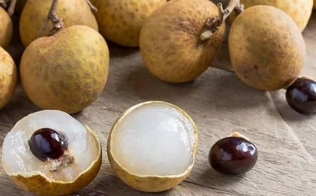 लोंगन: तनाव कम करने और नींद सुधारने वाला फल