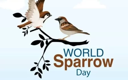 World Sparrow Day  2022: Know History, significance, and theme of this day
