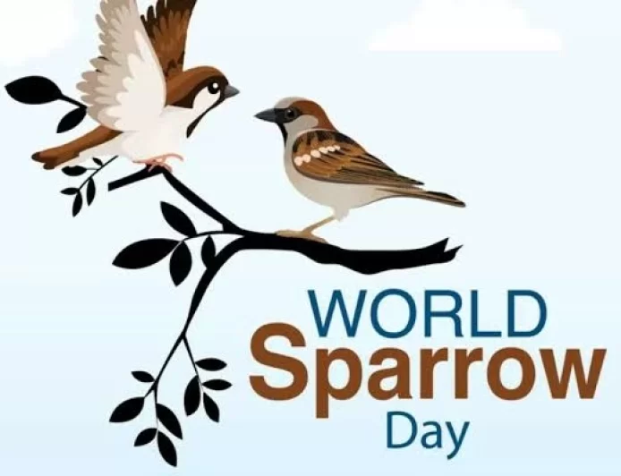 World Sparrow Day  2022: Know History, significance, and theme of this day