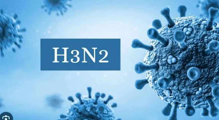 H3N2  Virus Influenza (A) : What are it's symptoms, method of spread, dos and don'ts