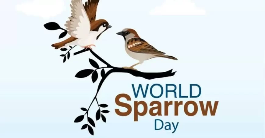 World Sparrow Day  2022: Know History, significance, and theme of this day