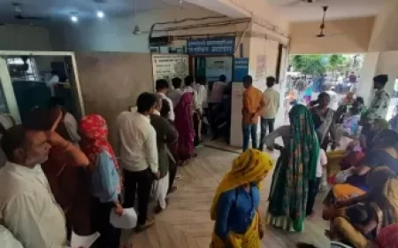 Rajasthan News: राज्य सरकार ने आरजीएचएस की मजबूती के लिए दिशा-निर्देश जारी, चिकित्सा और स्वास्थ्य विभाग को दी जिम्मेदारी