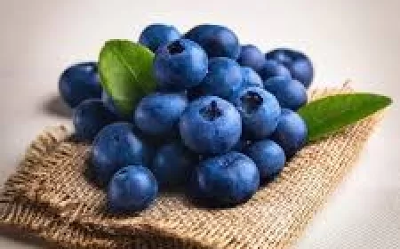 Blueberry benefits : ब्लूबेरी के फायदे: शक्तिशाली एंटीऑक्सिडेंट से भरपूर फल