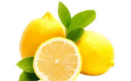Lemon Benefits: नींबू के फायदे: वजन घटाने और स्वास्थ्य के लिए एक चमत्कारिक फल