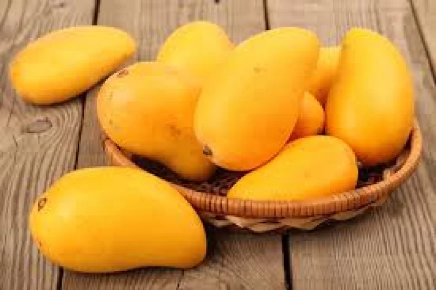 Mango benefits: आम खाने के फायदे: स्वाद और सेहत का ताजगी भरा संगम