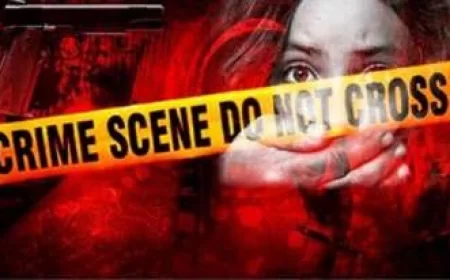 Rajasthan News:'हवस के अड्डे' बने शहर के होटल: श्रीगंगानगर में 13 साल की मासूम से कई दिनों तक हैवानियत, 8 आरोपी गिरफ्तार
