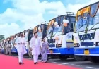 Rajasthan News: हाईटेक हुईं राजस्थान रोडवेज की बसें: CM भजनलाल ने दिखाई 144 नई 'ब्लू लाइन' बसों को हरी झंडी, सफर में मिलेगा मनोरंजन