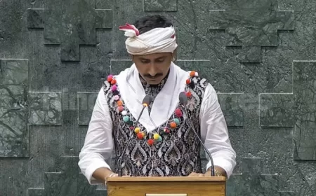 Rajasthan News: कौन हैं वो सांसद जिन्हें UN से आया बुलावा? जिनेवा में संयुक्त राष्ट्र के मंच पर पहली बार गूंजेगी भारत के आदिवासियों की आवाज