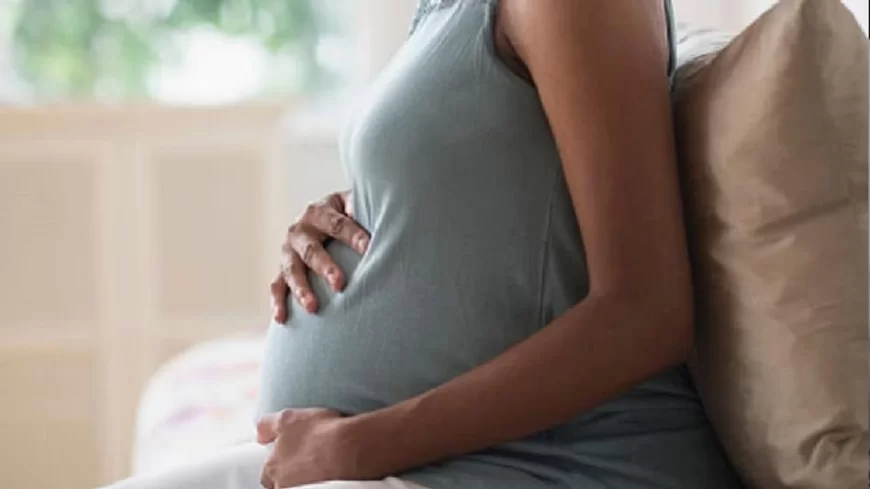 Rajasthan News: कोटा में सिस्टम से हारीं 5 प्रसूताएं, राष्ट्रपति से मांगी 'इच्छा मृत्यु'; 48 घंटे का अल्टीमेटम खत्म होने से प्रशासन में हड़कंप