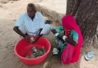 Rajasthan News: बालोतरा में अजीबोगरीब हादसा: किसान की मेहनत की कमाई चट कर गई दीमक, जमीन में छुपाकर रखे थे 5 लाख रुपये