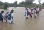 बारां में शिक्षा के लिए जान की बाजी: उफान मारती बेथली नदी का नाला पार कर स्कूल जाने को मजबूर मासूम बच्चे