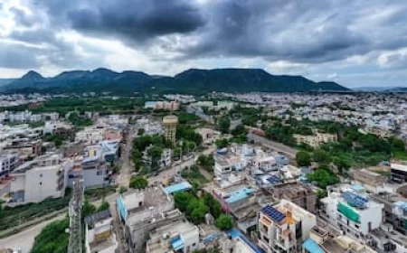 Rajasthan News: राजस्थान के 25 जिलों में बारिश का अलर्ट, मूसलाधार बरसात से जलसैलाब; स्कूल में फंसे 80 बच्चों का रेस्क्यू