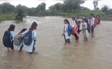 बारां में शिक्षा के लिए जान की बाजी: उफान मारती बेथली नदी का नाला पार कर स्कूल जाने को मजबूर मासूम बच्चे