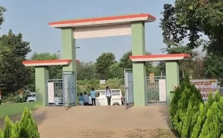 Rajasthan News: मदद नहीं मिली तो ग्रामीणों, शिक्षकों ने खुद ही 1 करोड़ रुपए जुटाकर जर्जर स्कूल का किया कायाकल्प