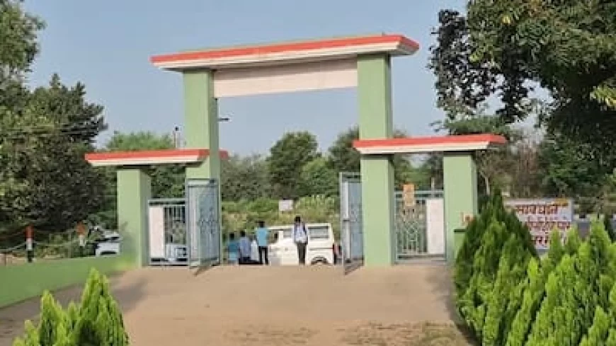 Rajasthan News: मदद नहीं मिली तो ग्रामीणों, शिक्षकों ने खुद ही 1 करोड़ रुपए जुटाकर जर्जर स्कूल का किया कायाकल्प
